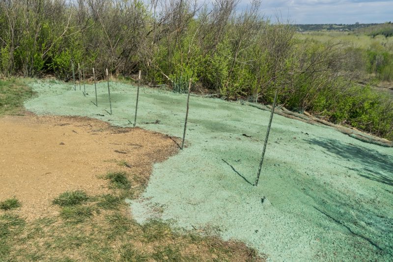 Area Hydroseeding
