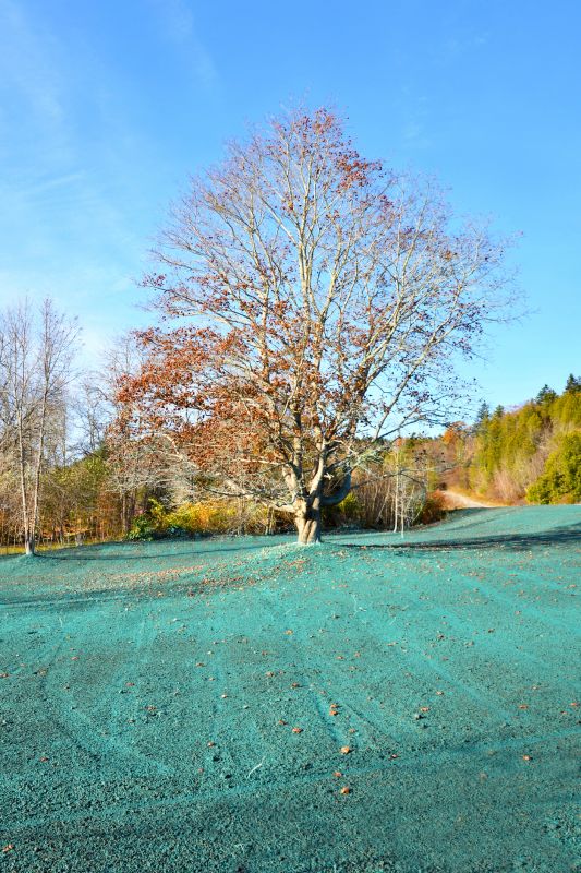Area Hydroseeding