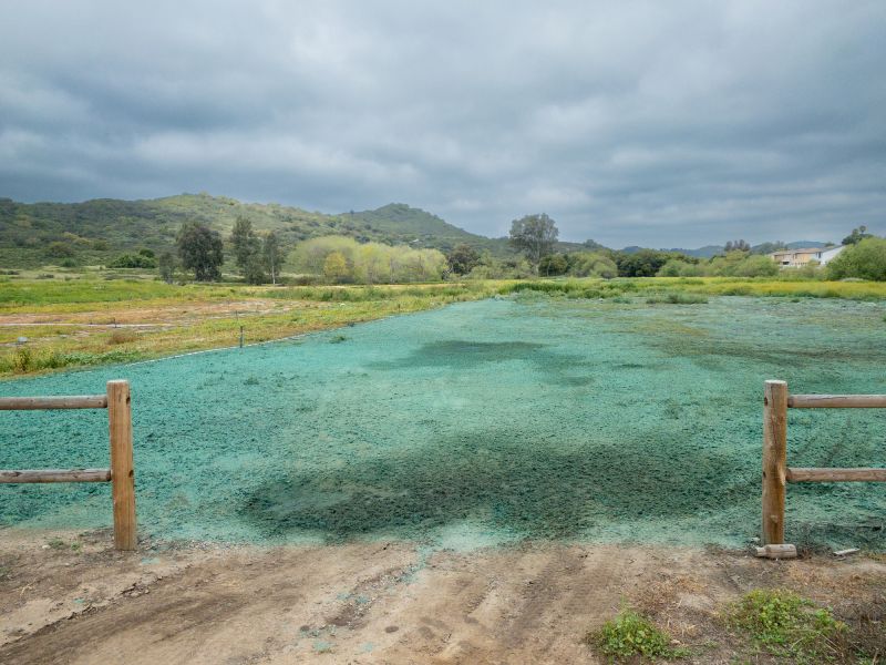 Area Hydroseeding