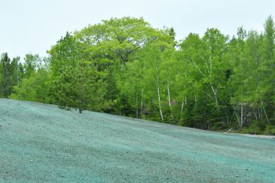 Erosion Control with Hydroseed