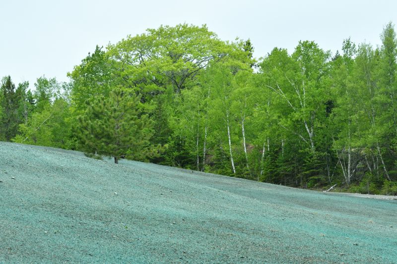 Rainfall and Hydroseeding