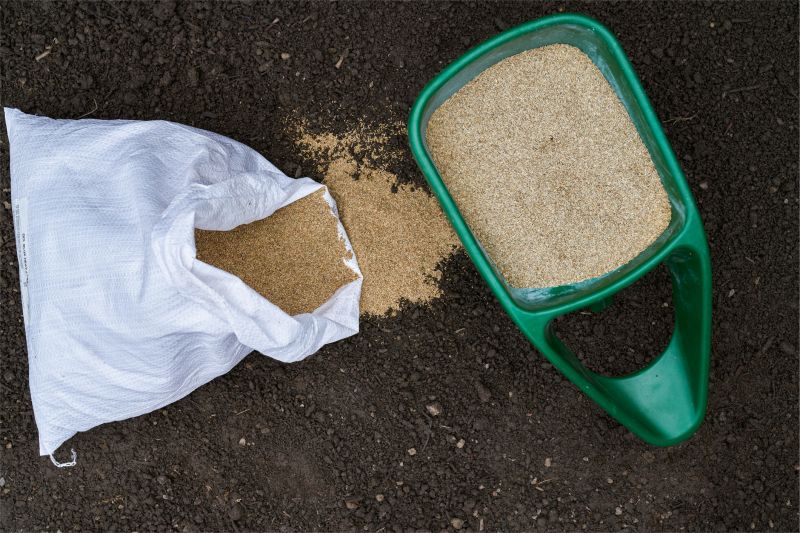 Residential Lawn Seeding in Ventura County, CA