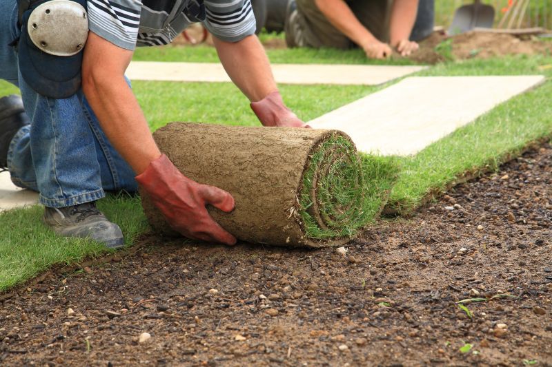 Ryegrass Sod Installation in Rockwall, TX