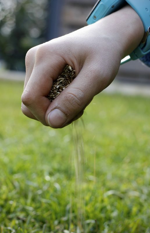 Fall Lawn Seeding in Honolulu, HI